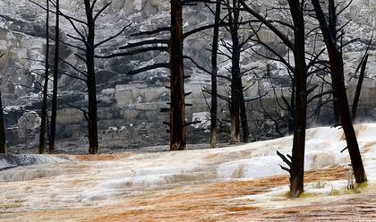 LANSCAPE of YELLOWSTONE IN SPRING