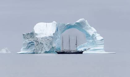 WILDLIFE & LANDSCAPE of GREENLAND