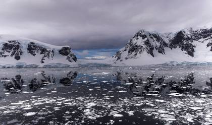 WILDLIFE & LANDSCAPE of ANTARCTICA PENINSULA