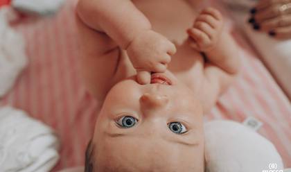 Ensaios de Orvana - 6 meses