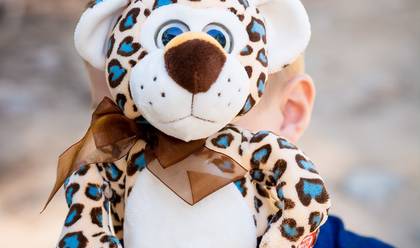 Gestante de A espera do príncipe Vinícius