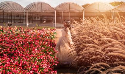 15 anos de Seu sonho em Holambra | A cidade das flores