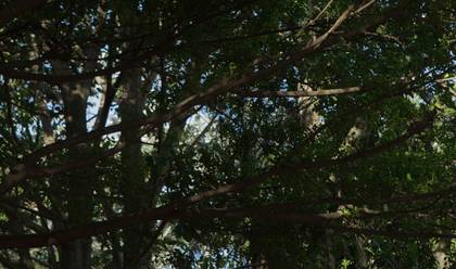 BODAS de Laura y Jorge