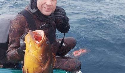 ILHA GRANDE de Pescaria Submarina com Tadashi Tani