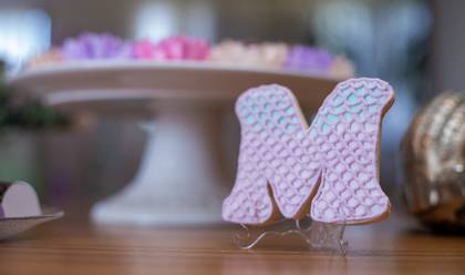 ANIVERSÁRIO INFANTIL de #1 da Maya 