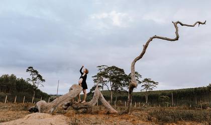 Gestantes de Mariana Gestante