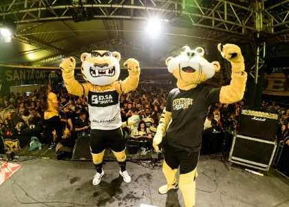 Espetigre