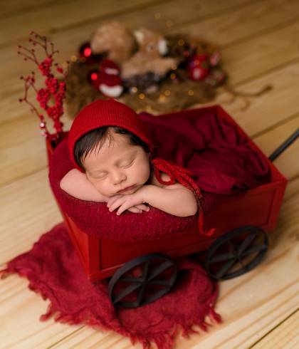 Ensaio Newborn de Miguel 22 dias 