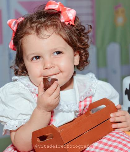 Aniversário Infantil de 2 Anos Ana Júlia
