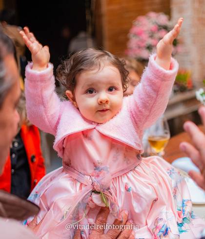 Aniversário Infantil de 1 Aninho Sophia
