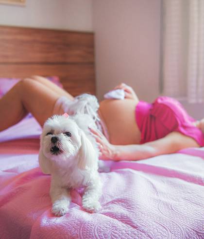 Ensaio Gestante de Lifestyle Ingrid