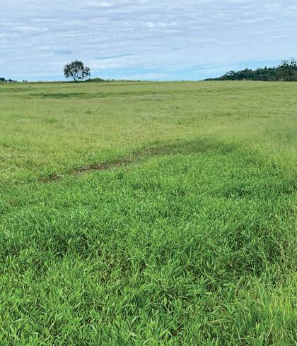 Área de AR0004 -  Excelente Área com 10 halqueres (242000 m²) 