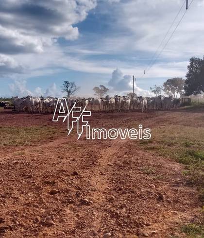 Fazenda de FA0003 - Explore a beleza e a vastidão da Fazenda Arco-Íris em Brasilândia - Uma oportunidade única!