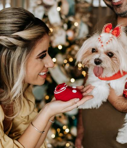Chá Revelação de Revelação de Gestação | Natal em casa