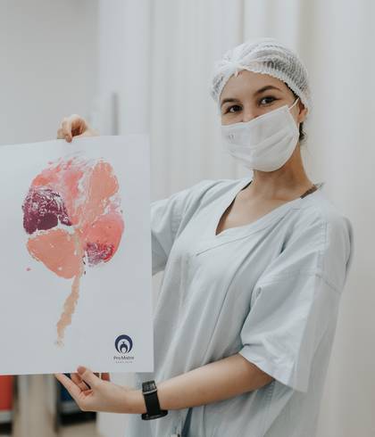 Parto de Nascimento da Aurora