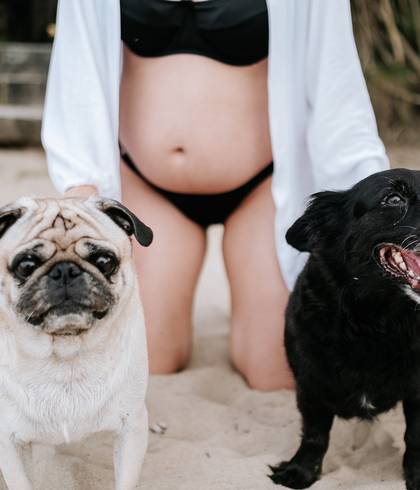 Gestante de A espera por Liz