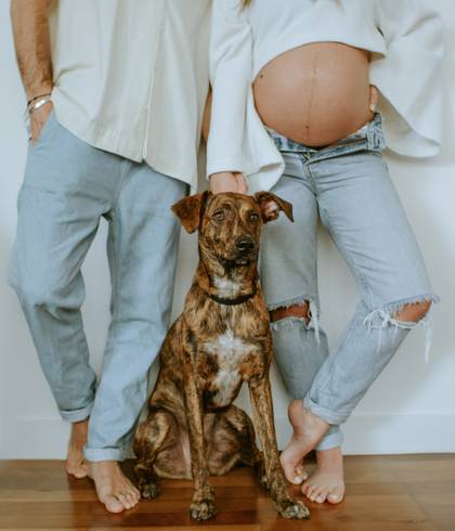 Gestante de Gabi, João e Blu esperam a Pippa