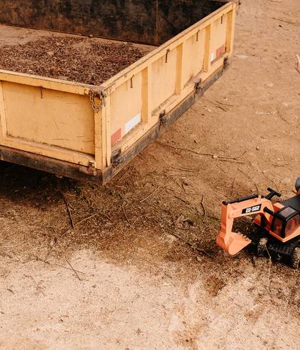 Famílias de Os 3 anos do Alex