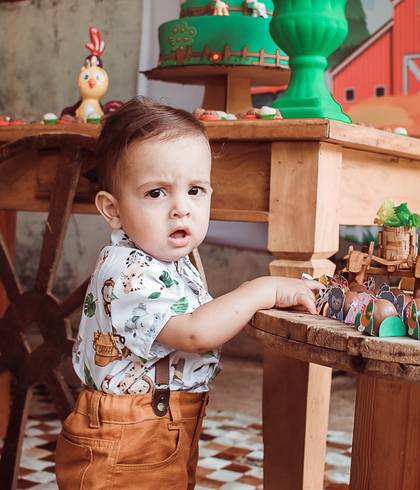 Aniversário Infantil  de Ulisses 1 aninho de alegrias constante!