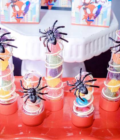 Aniversário Infantil  de Ivan fez 6 !