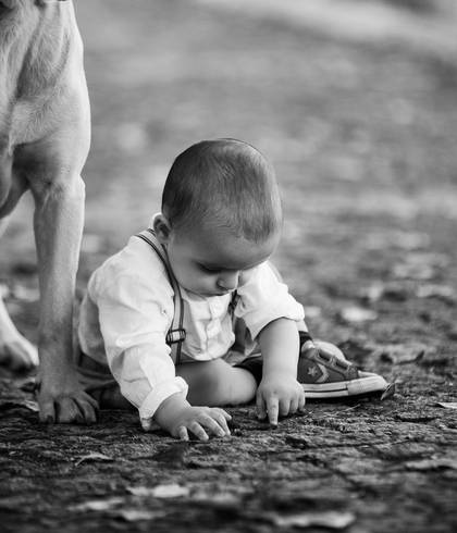 Sessões Fotográficas de O Dinis e o seu melhor amigo - fiel e companheiro