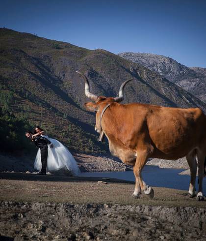 Trash the Dress de O encantamento de Soajo - Sessão Trash the Dress