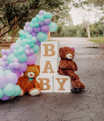 Família de Ensaio Revelação Benjamin