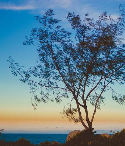 Gestante de Luciana + Uilliam = Larissa | Sessão fotográfica