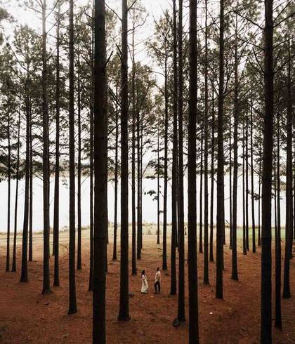 Pré-wedding de Ale e Fer