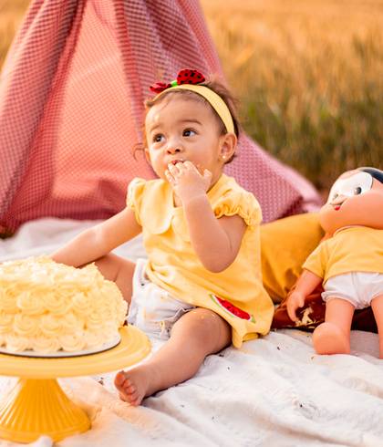 Família de Helena - Smash The Cake