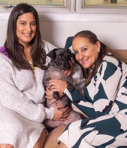 Ensaio Pet de Ensaio Pet