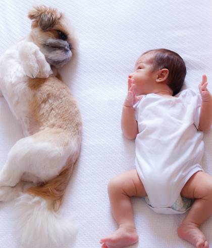 Newborn  Lifestyle  de Newborn Lifestyle | Primeiras Histórias do Vinícius