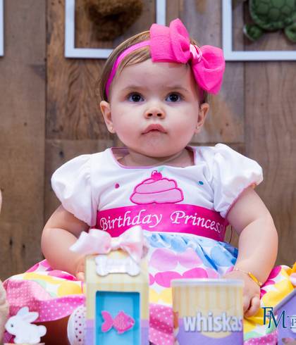 Festa Infantil de Infantil Juliana - 1 ano