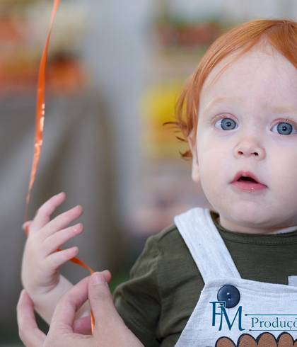 Festa Infantil de Infantil Murilo - 1 ano