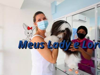 Vídeo de Petshop de Vídeo Promocional do Pet Saloon