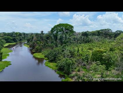 Vídeos  de Mini Documentário Projeto Daime Eterno | Regenerando a Floresta, Fortalecendo Vidas