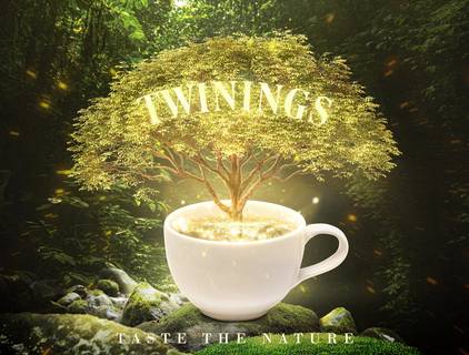 Photo Manipulation of Twinnings Tea