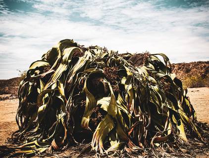 PE NA DUNA de Turismo na Província do Namibe: 5 Destinos Imperdíveis