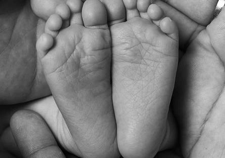 Bebes de Newborn