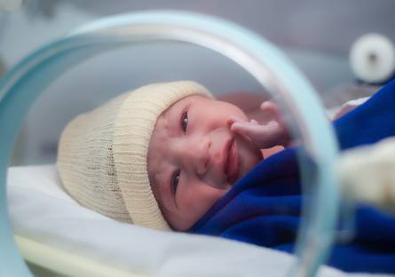 Nascimento de Eloá Regonato Franco