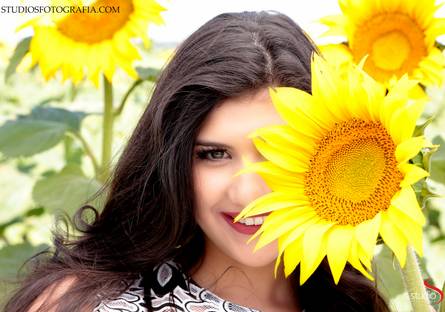 Book Fifteen de Ana Carolina