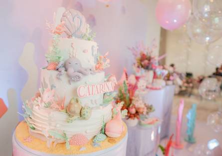 Aniversário Infantil  de 2 anos Catarina