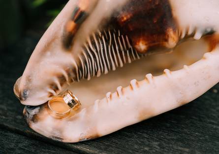 Casamento de CERIMÔNIA DÉBORA & RICHARD