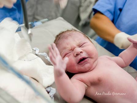 Parto de Registro de Parto - O Nascimento do Felipe