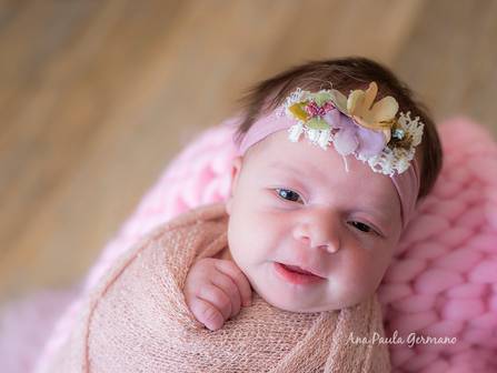 Newborn de Ensaio Newborn - Sophia