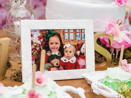 Aniversário Infantil de Aniversário Sofia e Júlia