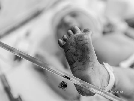 Parto de Registro de Parto - Maternidade Santa Maria - O Nascimento da Isabella