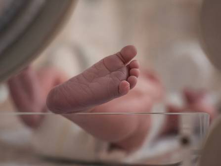 REGISTRO PARTO de REGISTRO DE PARTO - ISABELA NICKEL