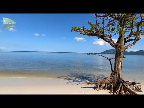 Meio Ambiente de Restinga da Marambaia