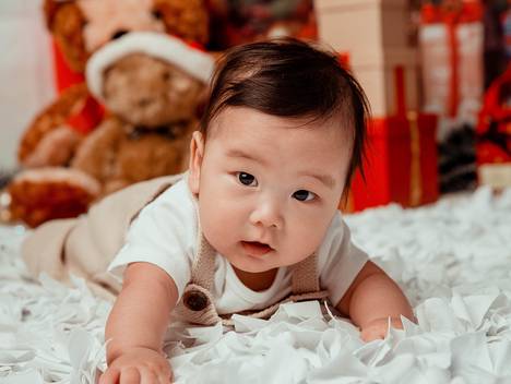 FAMÍLIA  de ENSAIO FAMÍLIA